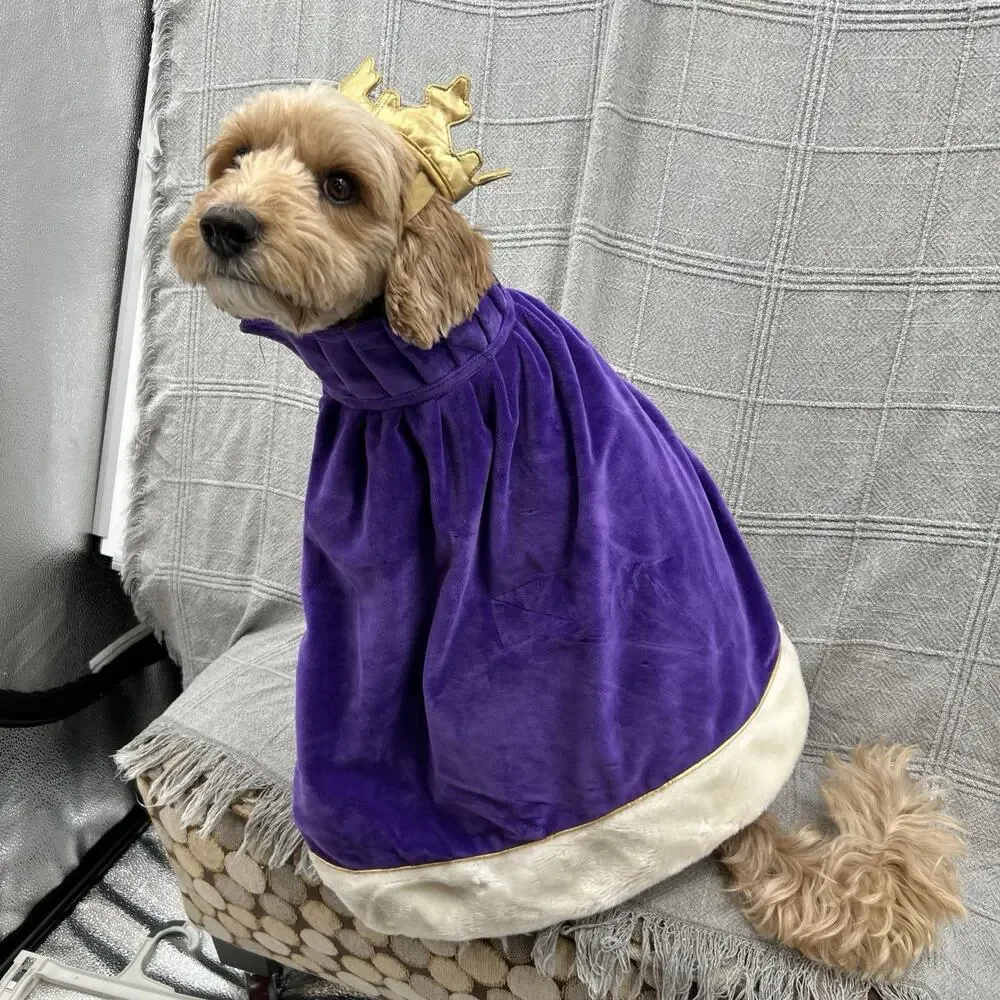 Old Navy Dog Supply Co King Prince Costume Size Medium Cape Crown Purple Gold